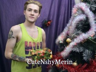 CuteNshyMerin