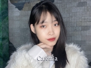 cafenia Gratis xxx Clips
