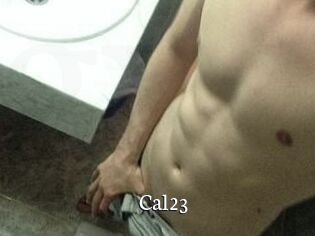 Cal23