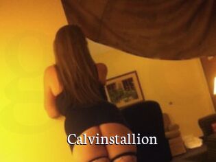 Calvinstallion