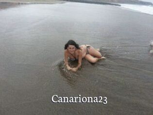 Canariona23
