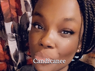 Candicanee