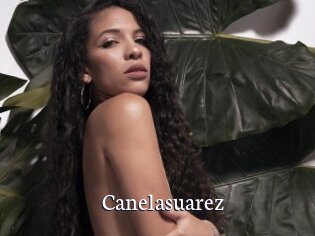 Canelasuarez