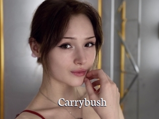 Carrybush