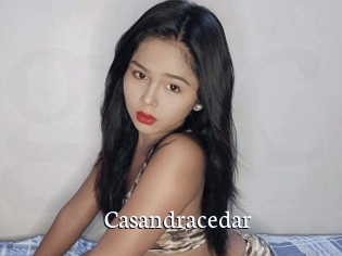Casandracedar