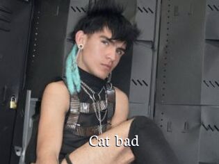 Cat_bad