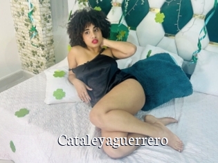 Cataleyaguerrero