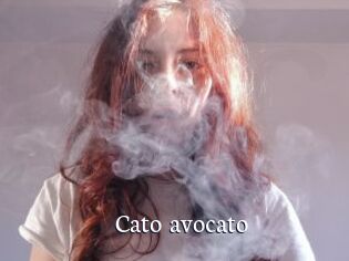 Cato_avocato