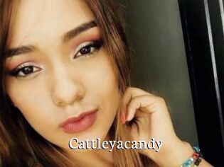 cattleyacandy Gratis xxx Clips