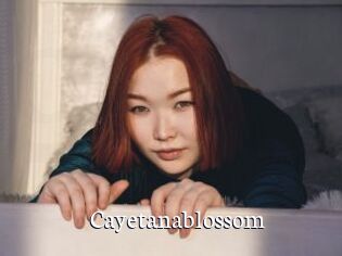 Cayetanablossom