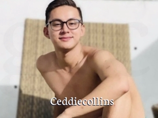 Ceddiecollins