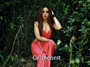 Celinehest