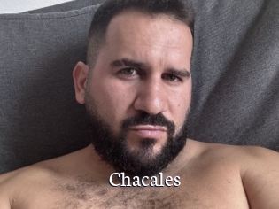 Chacales