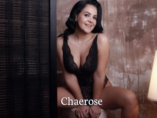 Chaerose