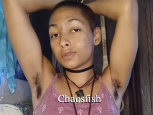 chaosfish Gratis xxx Clips