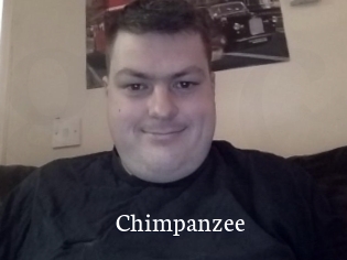Chimpanzee