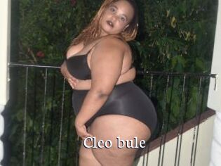 Cleo_bule