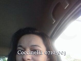 Coccinella-07105003