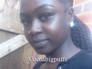 Cocoabigpuffs