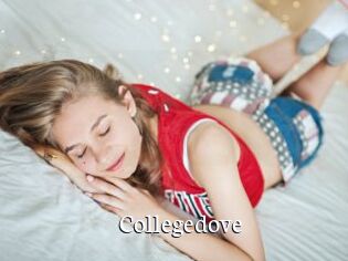 Collegedove