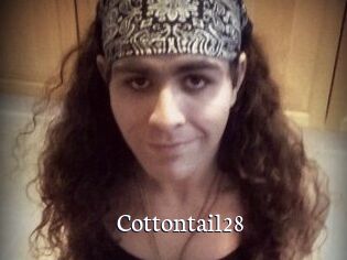 Cottontail28