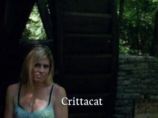 Crittacat