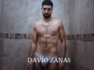 DAVID_ZANAS