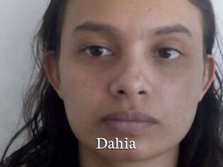 Dahia