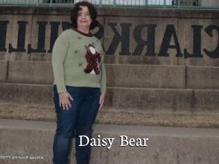 Daisy_Bear