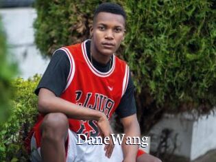 DaneWang