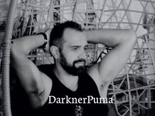 DarknerPuma