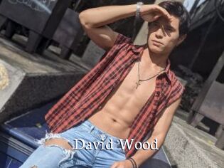 David_Wood