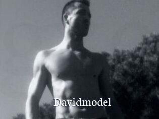 Davidmodel