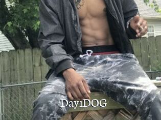Day1DOG