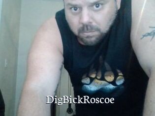 DigBickRoscoe