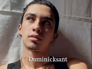 Dominicksant