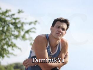 DominikYa