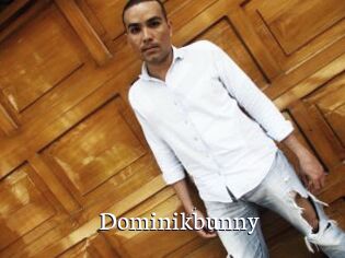 Dominikbunny