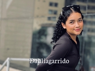 Dahliagarrido