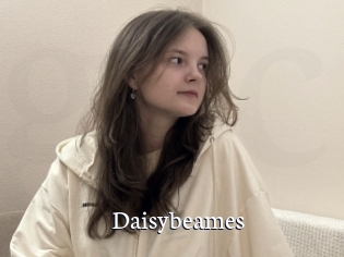 Daisybeames