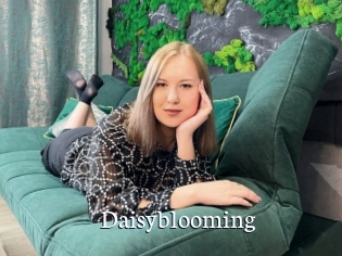 Daisyblooming