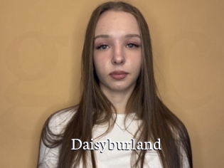 Daisyburland