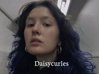 Daisycurles