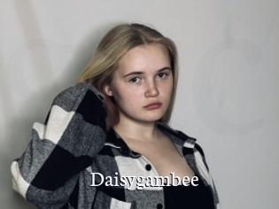 Daisygambee