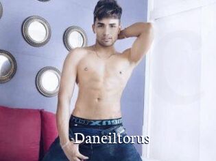Daneil_torus