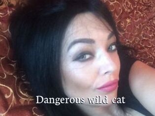 dangerous_wild_cat Gratis xxx Clips