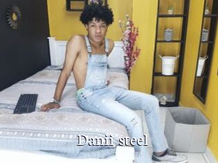 Danii_steel