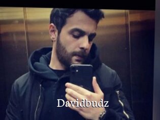 Davidbudz