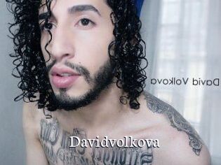 Davidvolkova