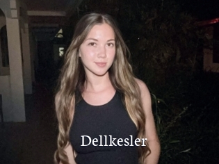 Dellkesler